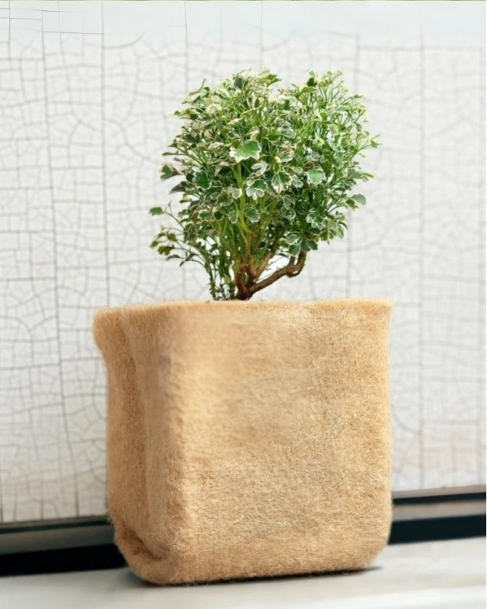 JUTE GROW BAGS 05
